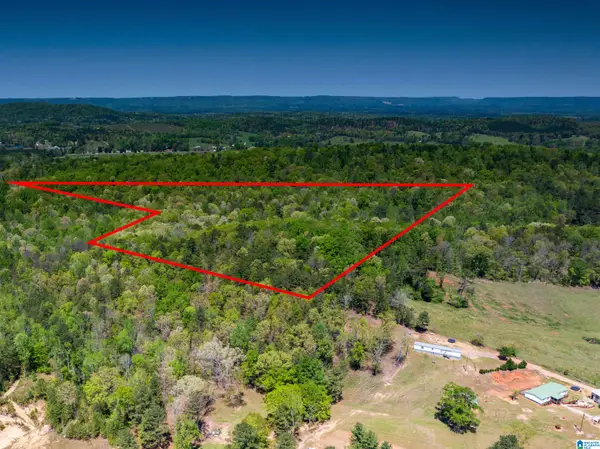 0 PIKE HILL ROAD, Ashville, AL 35953