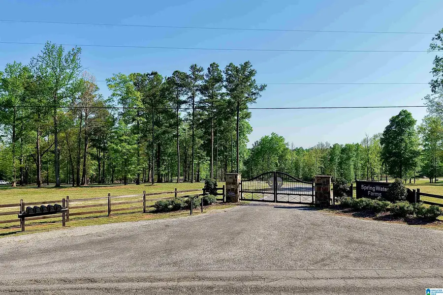 246 SPRING WATER FARMS, Helena, AL 35022 - #2