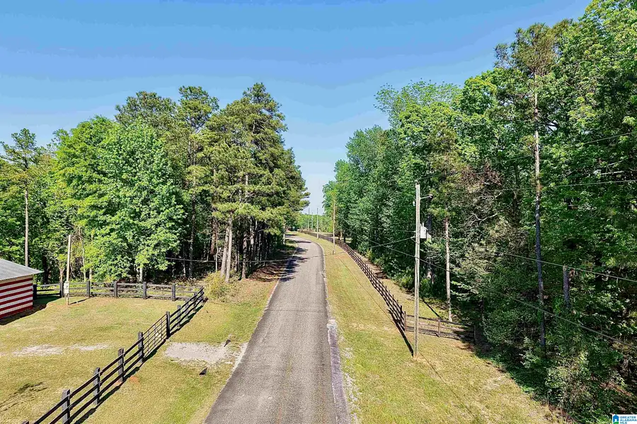 246 SPRING WATER FARMS, Helena, AL 35022 - #3