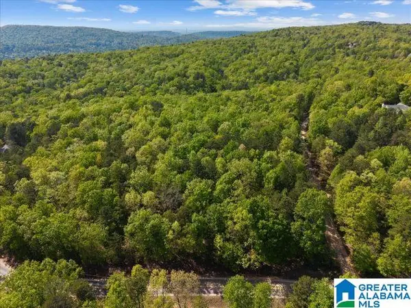 8810 PINE MOUNTAIN ROAD, Pinson, AL 35126