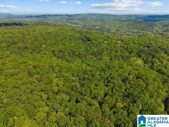 8810 PINE MOUNTAIN ROAD, Pinson, AL 35126 - #3