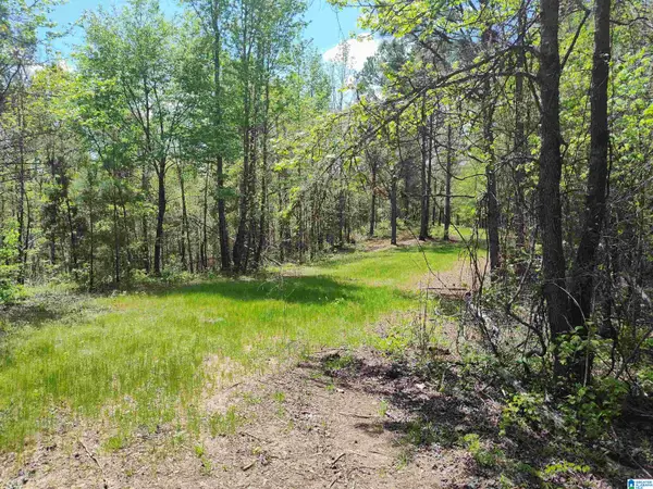 0 LITTLE TOM ROAD, Rockford, AL 35136