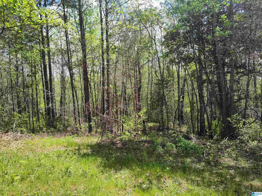 0 LITTLE TOM ROAD, Rockford, AL 35136 - #2
