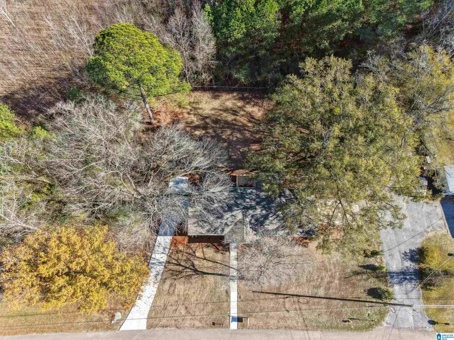 2401 16TH STREET, Calera, AL 35040 - #2