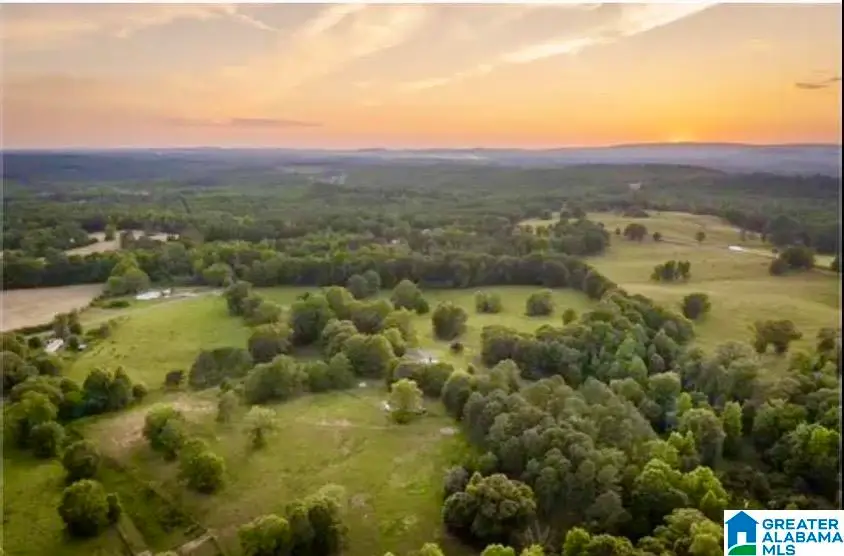 1749 MCCOLLUM CHURCH ROAD, Lineville, AL 36266 - #2