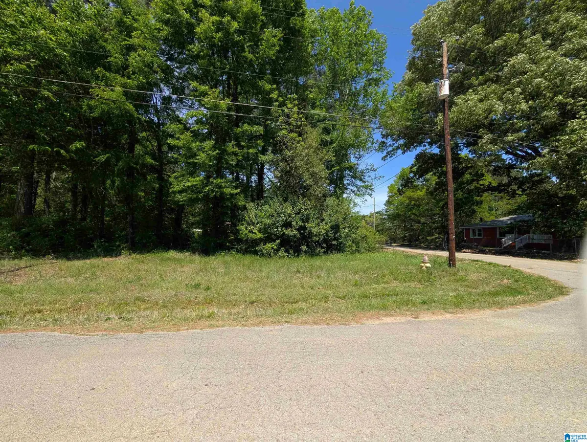 0 MCKINNEY STREET, Gadsden, AL 35904 - #1