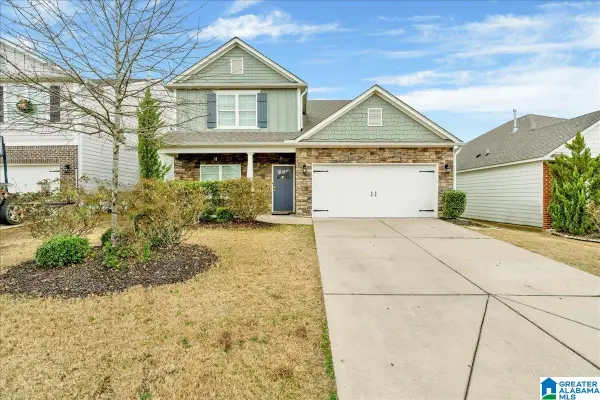 1051 PARK VIEW DRIVE, Chelsea, AL 35043