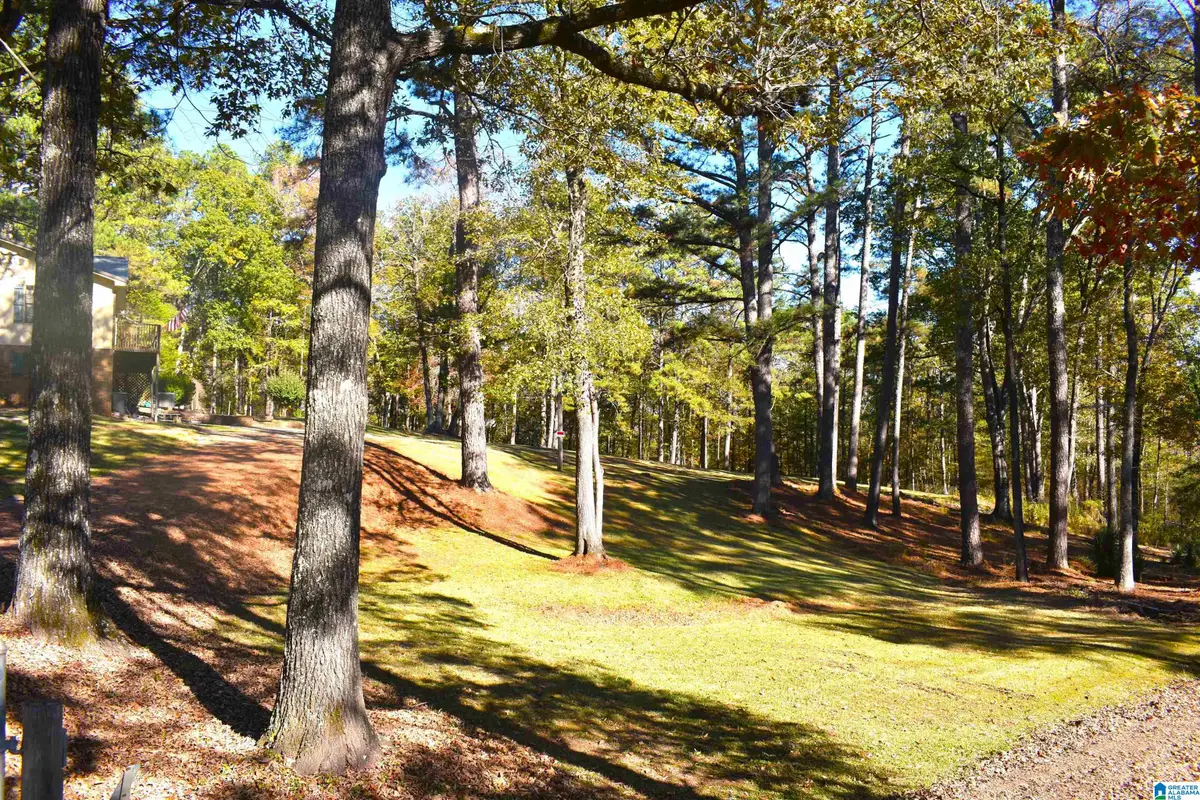 90 CHALEY SPRINGS ROAD, Warrior, AL 35180 - #1