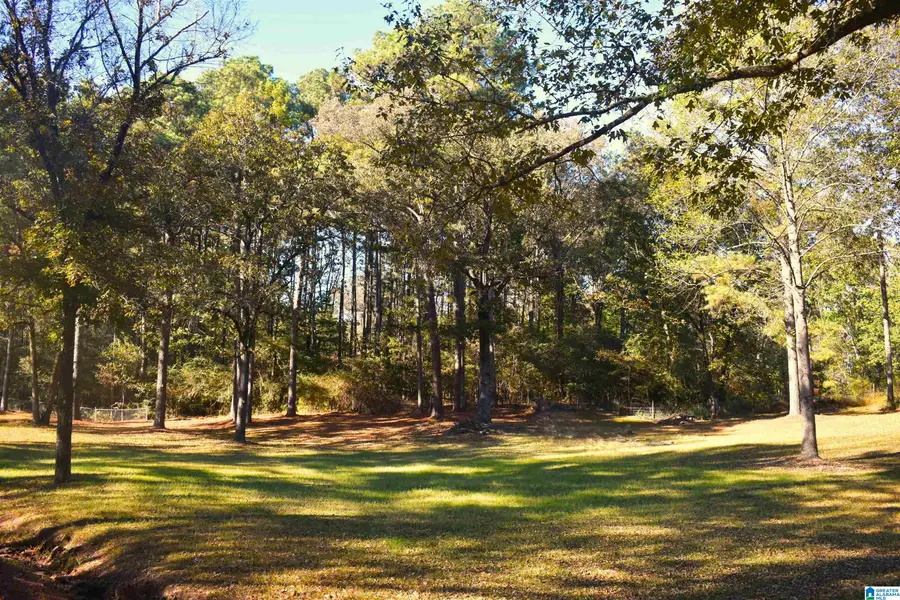 90 CHALEY SPRINGS ROAD, Warrior, AL 35180 - #3