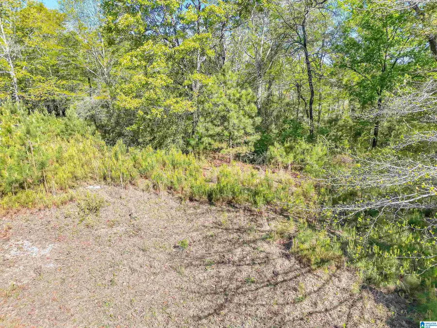 2755 COUNTY ROAD 53, Billingsley, AL 36006 - #2