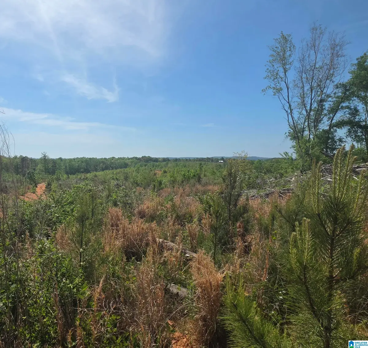 Tract 8 COUNTY ROAD 256, Wedowee, AL 36278 - #1