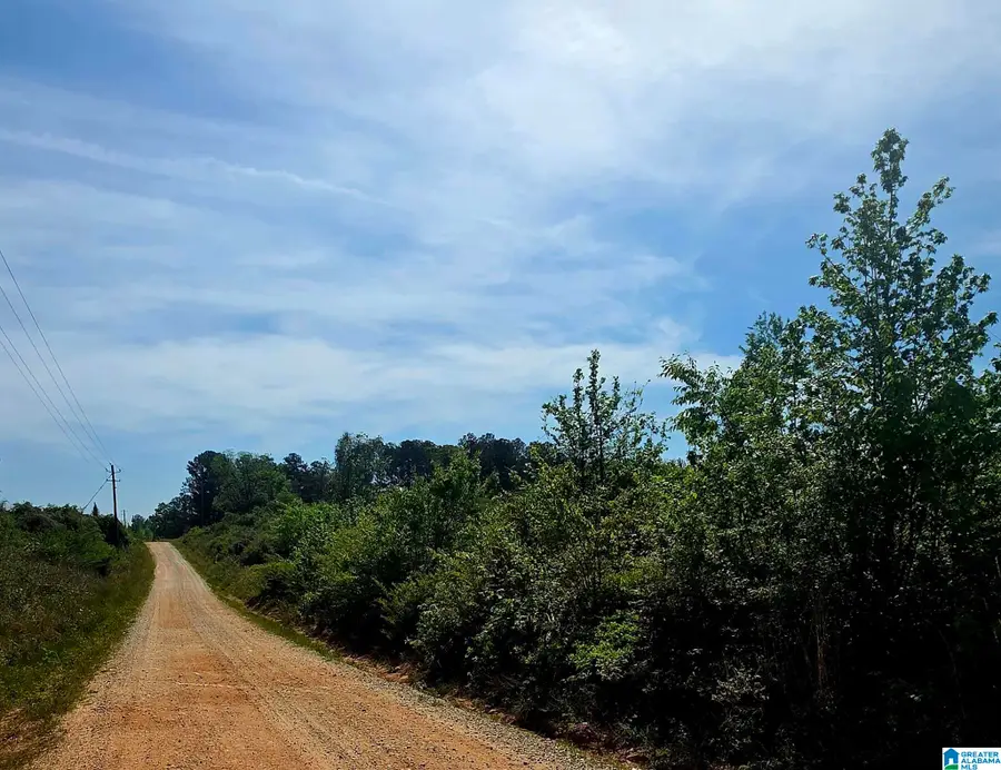 Tract 8 COUNTY ROAD 256, Wedowee, AL 36278 - #2
