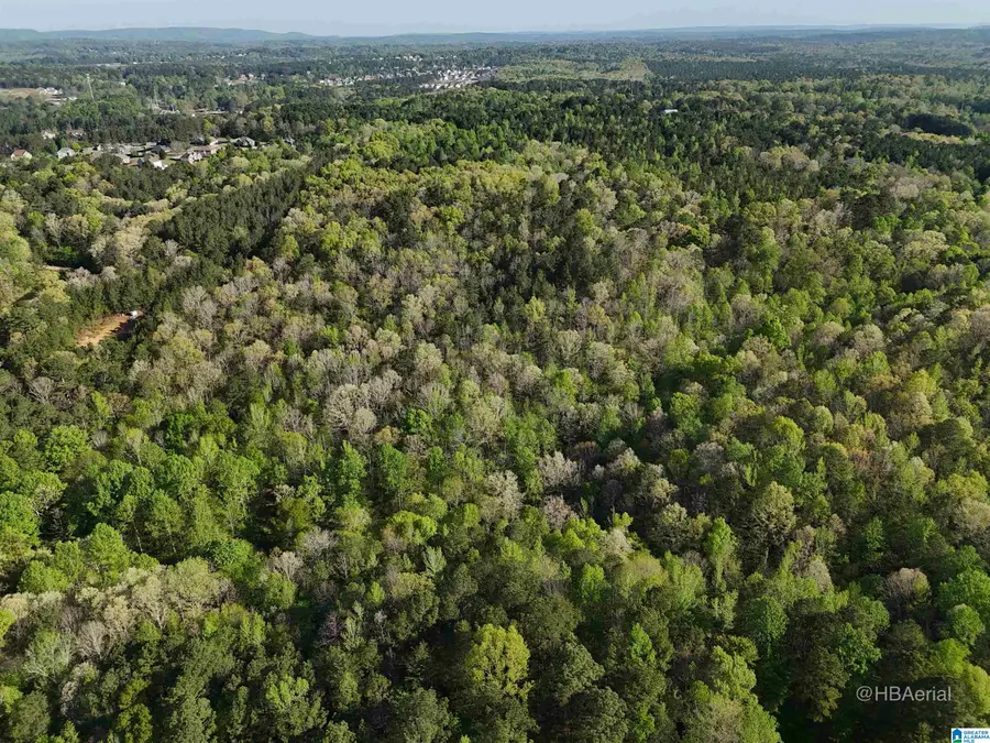 Off of MAGNOLIA CREST WAY, Odenville, AL 35120 - #2