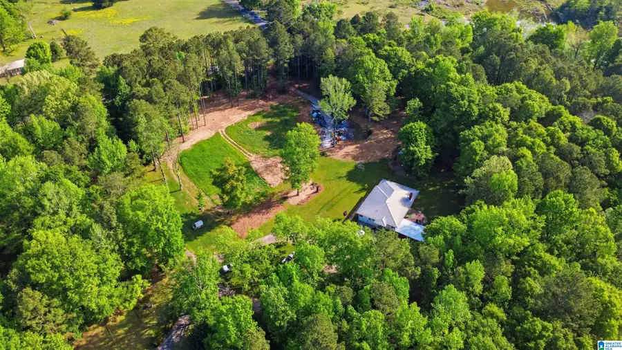 7061 MOUNTAIN VIEW LANE, Leeds, AL 35094 - #2