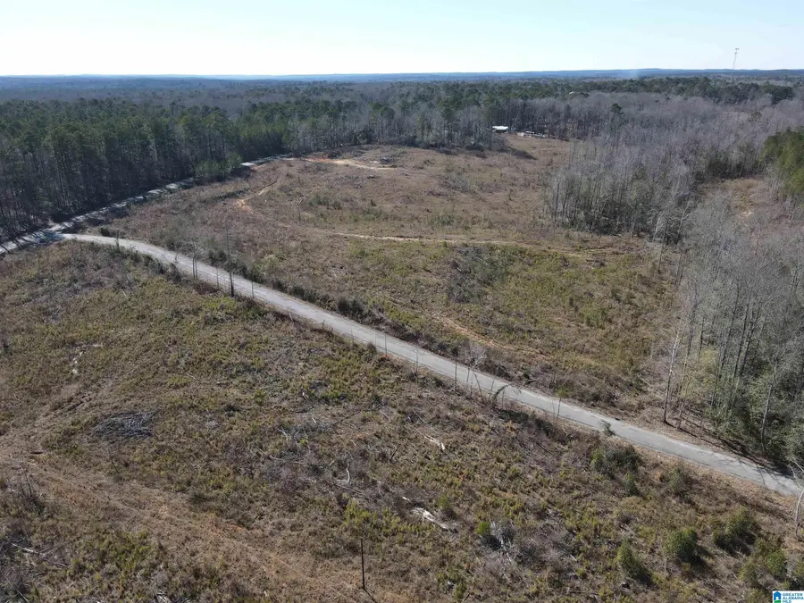 0 Lot 2 COUNTY ROAD 36, Randolph, AL 36792 - #2