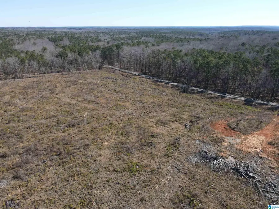 0 Lot 2 COUNTY ROAD 36, Randolph, AL 36792 - #3
