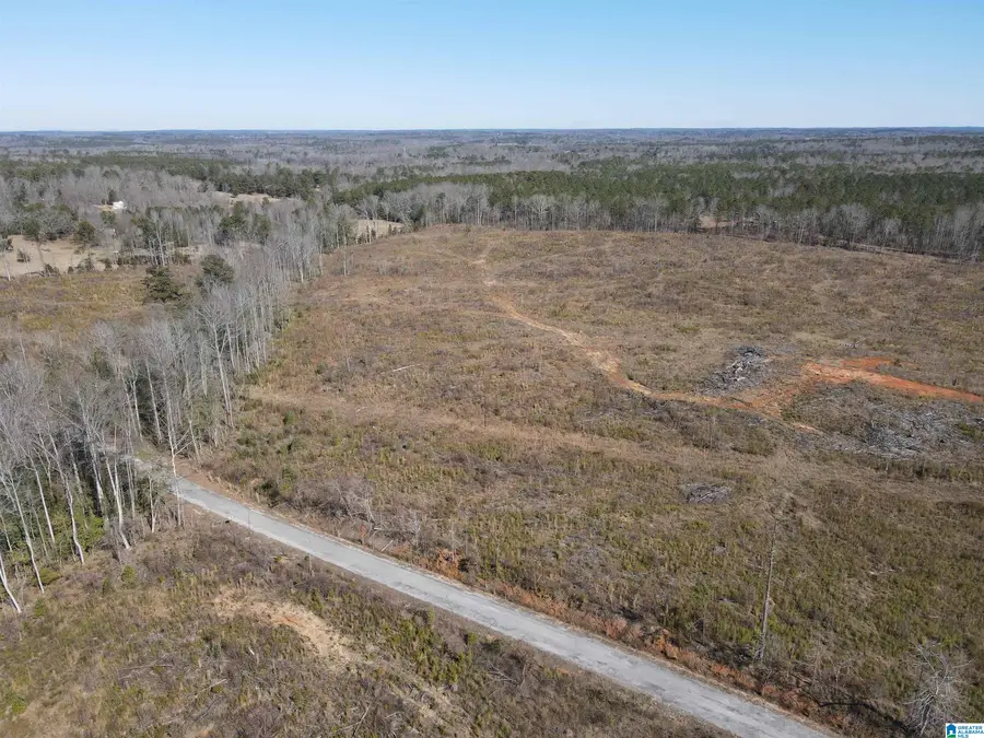 0 COUNTY ROAD 36, Randolph, AL 36792 - #3