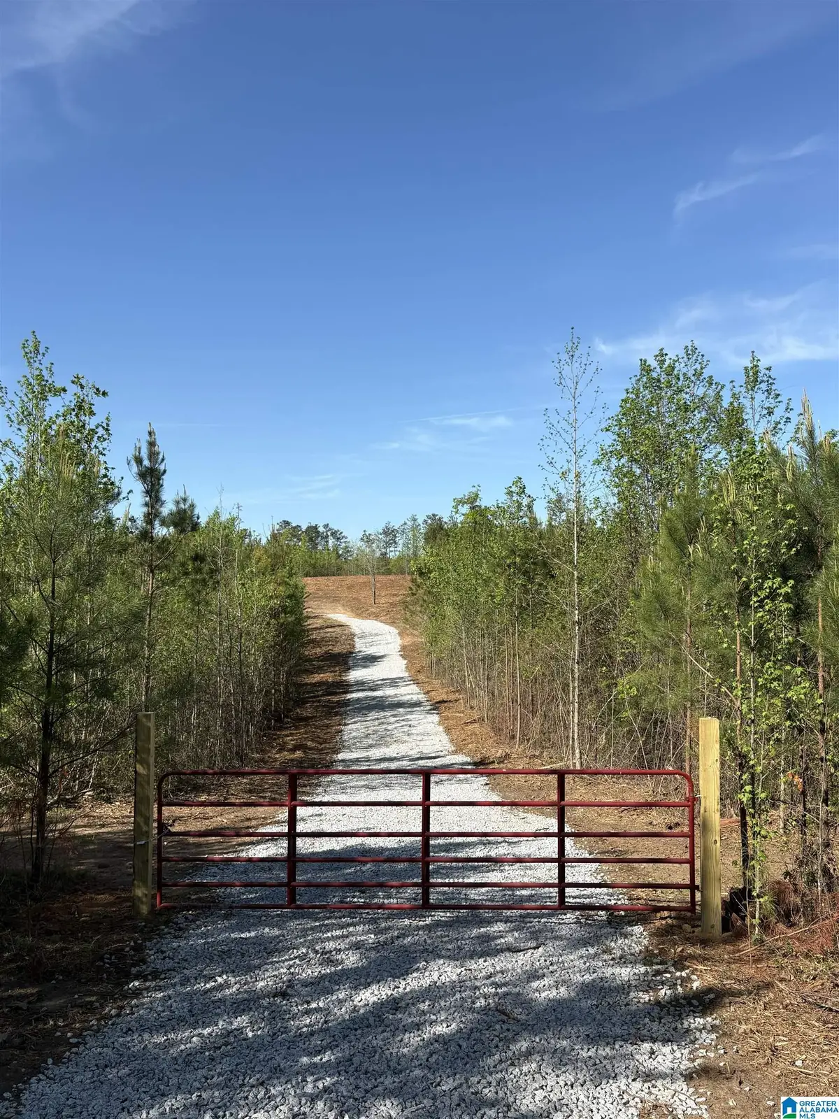 Parcel #1 OLD HIGHWAY 431, Wedowee, AL 36278 - #1