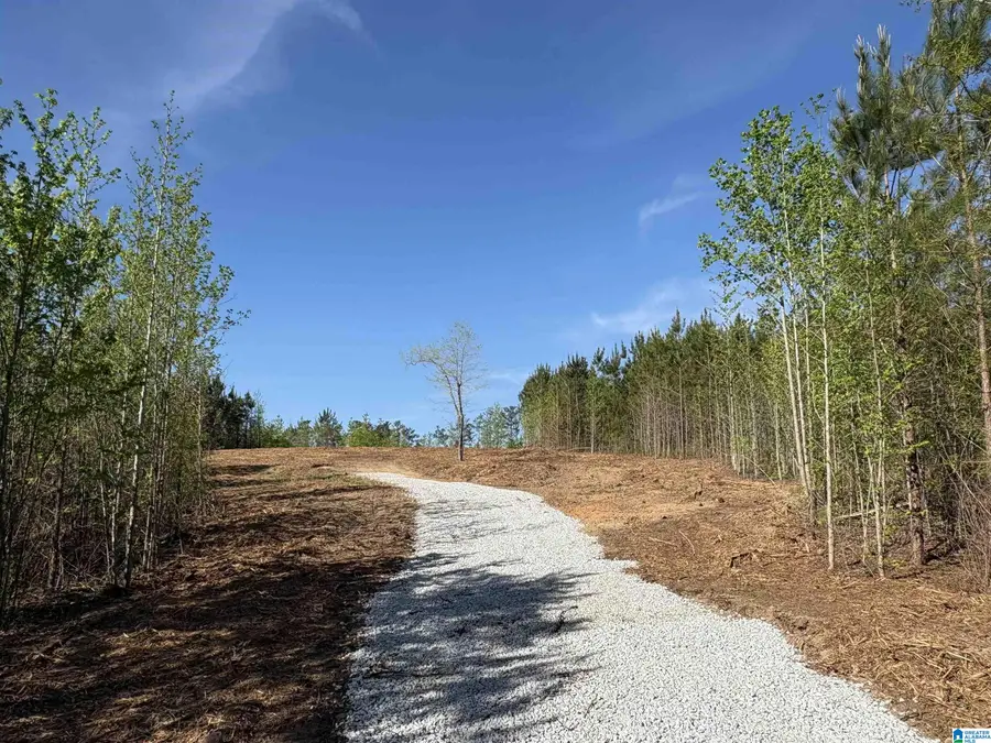 Parcel #1 OLD HIGHWAY 431, Wedowee, AL 36278 - #2