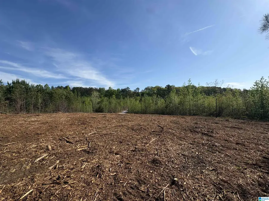 Parcel #1 OLD HIGHWAY 431, Wedowee, AL 36278 - #3