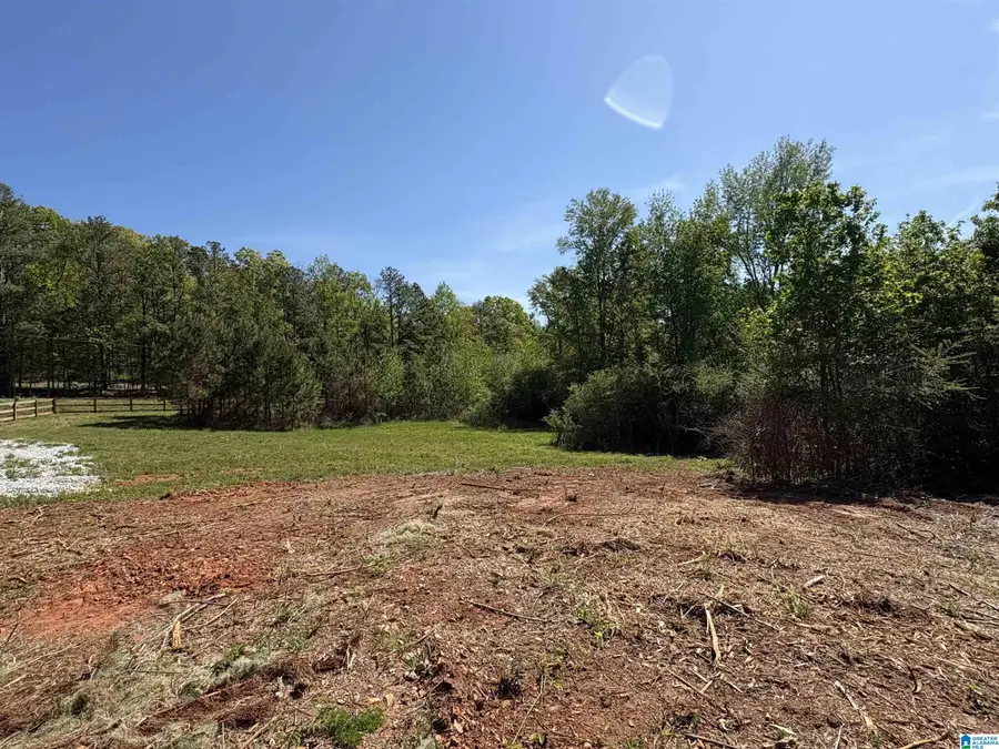 Parcel #2 OLD HIGHWAY 431, Wedowee, AL 36278 - #2