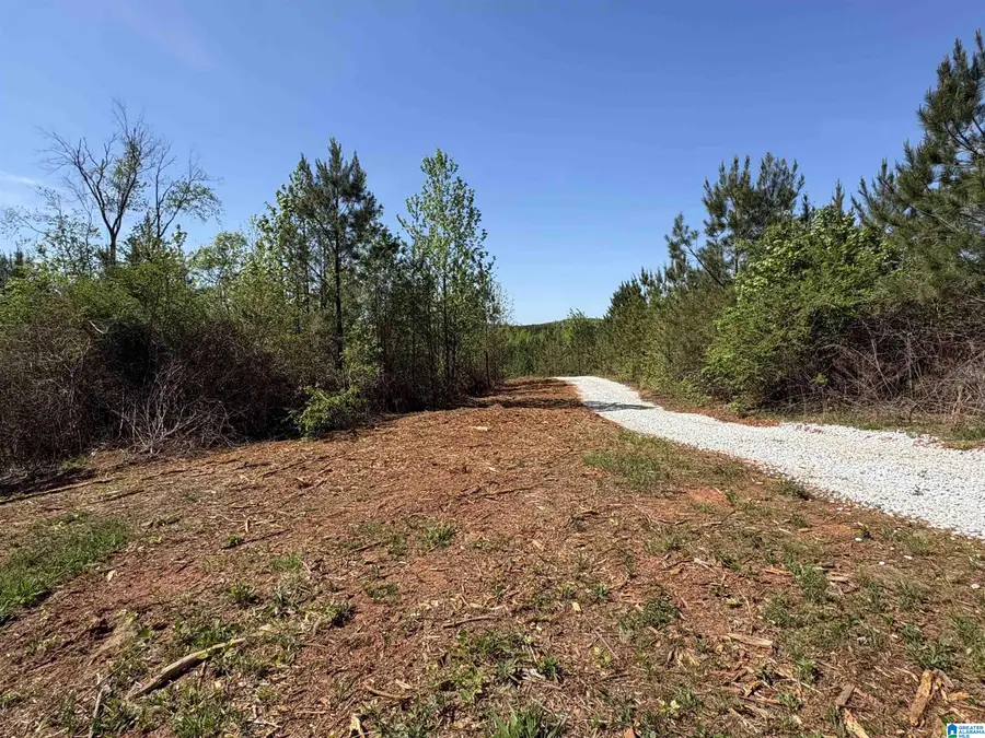 Parcel #2 OLD HIGHWAY 431, Wedowee, AL 36278 - #3