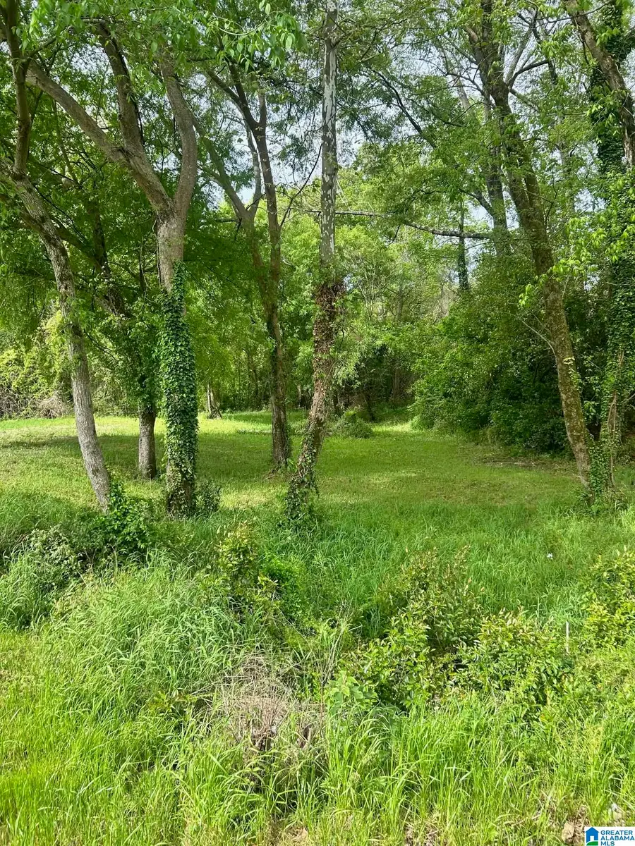 1008 COLUMBIANA ROAD, Homewood, AL 35209 - #2