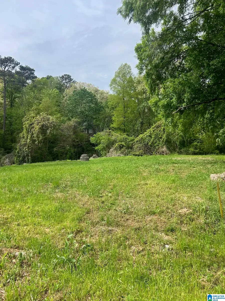 1008 COLUMBIANA ROAD, Homewood, AL 35209 - #3