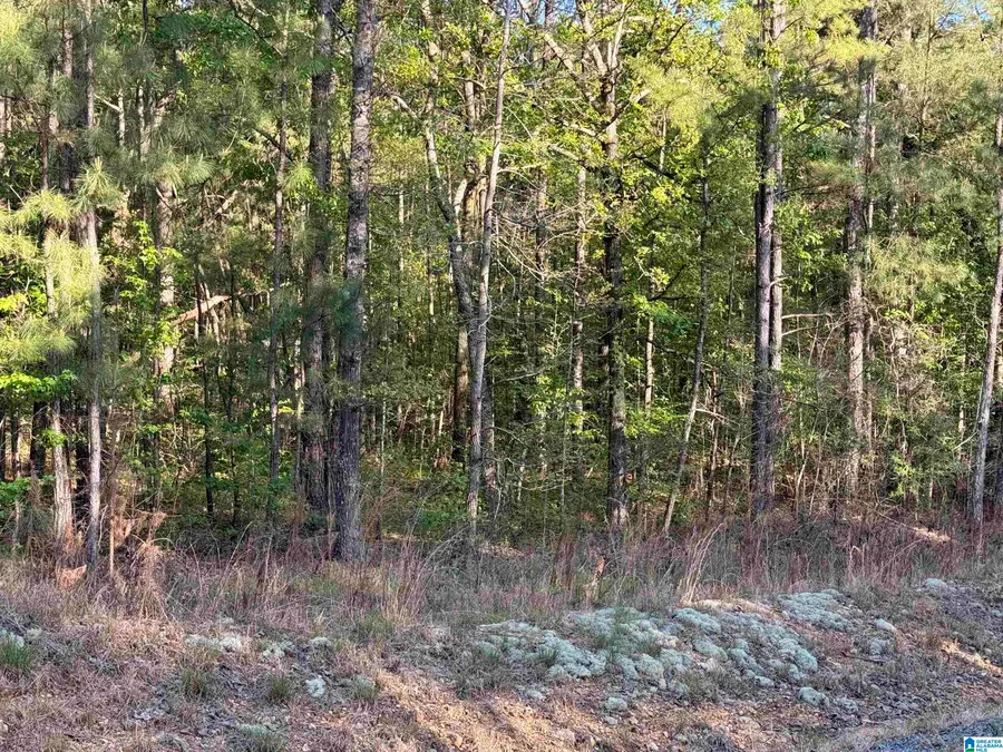 0 PINEY WOODS ROAD, Vincent, AL 35178 - #3