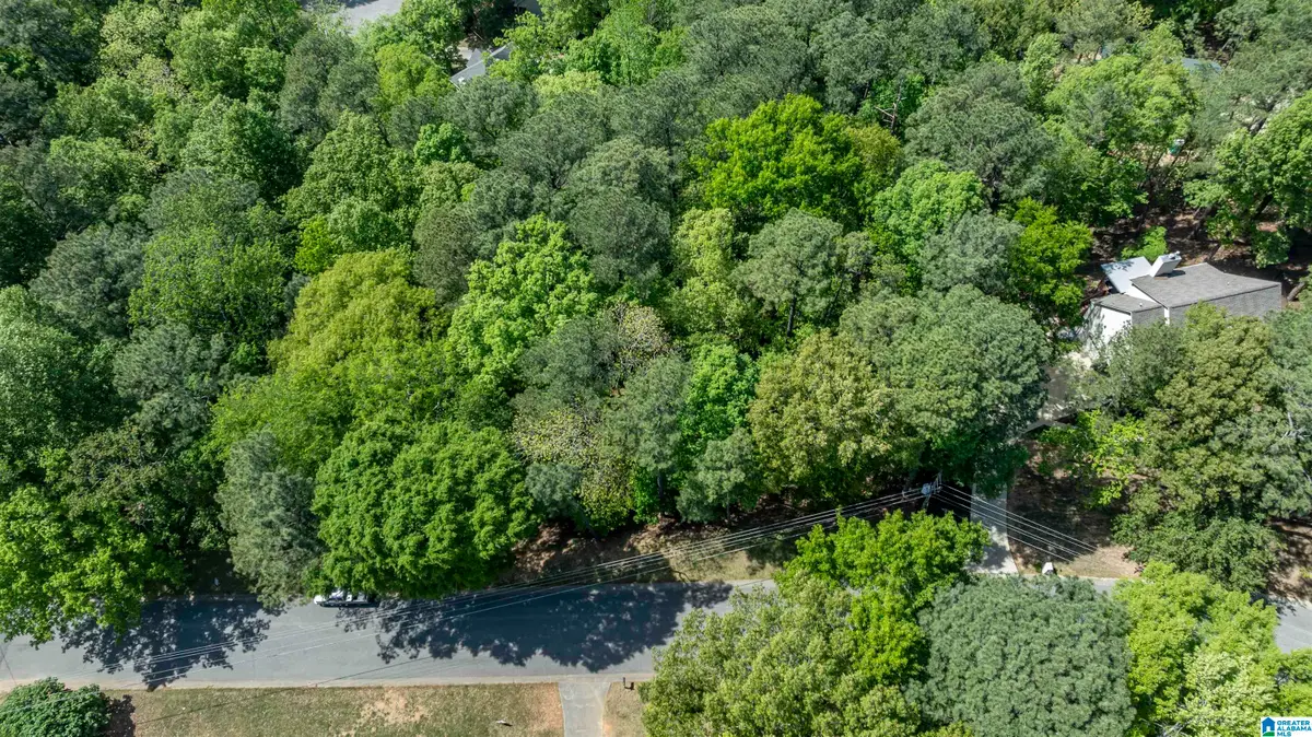 4754 SANDPIPER LANE, Hoover, AL 35244 - #1