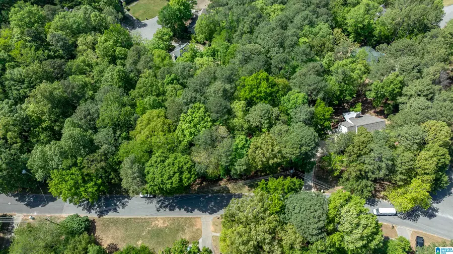 4754 SANDPIPER LANE, Hoover, AL 35244 - #2