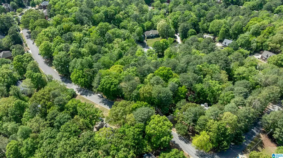 4754 SANDPIPER LANE, Hoover, AL 35244 - #3