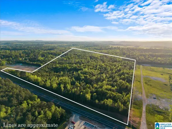 42 acres ALABAMA HIGHWAY 77, Ohatchee, AL 36271