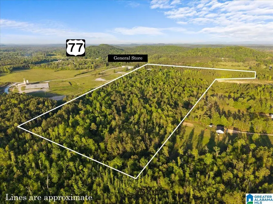 42 acres ALABAMA HIGHWAY 77, Ohatchee, AL 36271 - #2