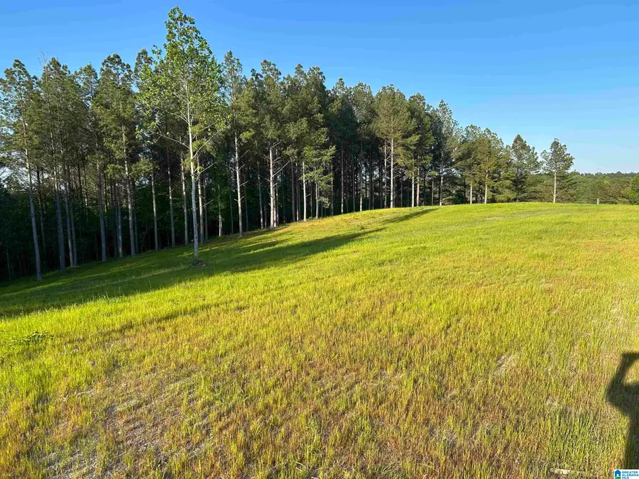 00 COUNTY ROAD 367, Crane Hill, AL 35053 - #2