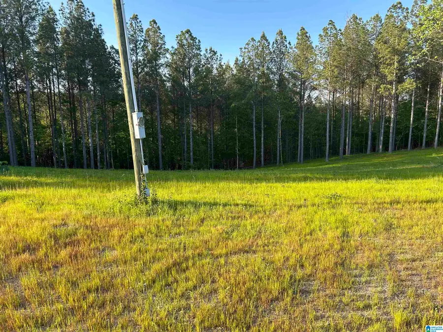 00 COUNTY ROAD 367, Crane Hill, AL 35053 - #3
