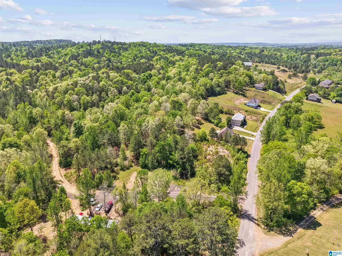 1678 HAYS CEMETERY ROAD, Hayden, AL 35079 - #1