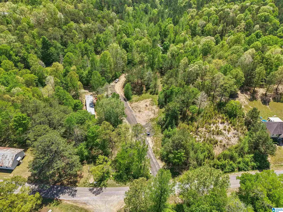 1678 HAYS CEMETERY ROAD, Hayden, AL 35079 - #2