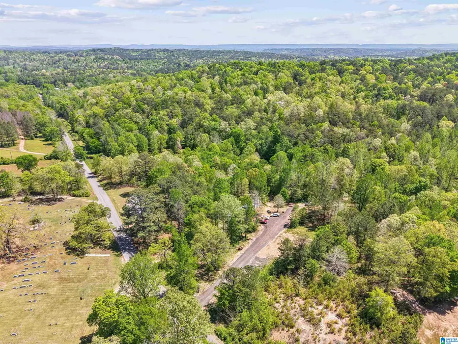 1678 HAYS CEMETERY ROAD, Hayden, AL 35079 - #3