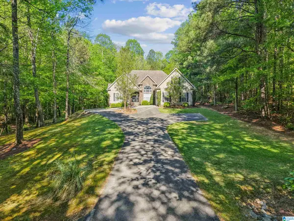 910 TWIN BLUFFS DRIVE, Springville, AL 35120