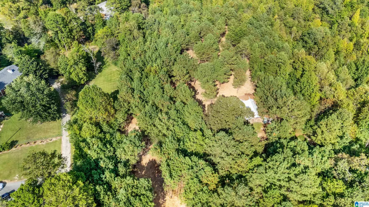 0 RED VALLEY ROAD, Remlap, AL 35133 - #1