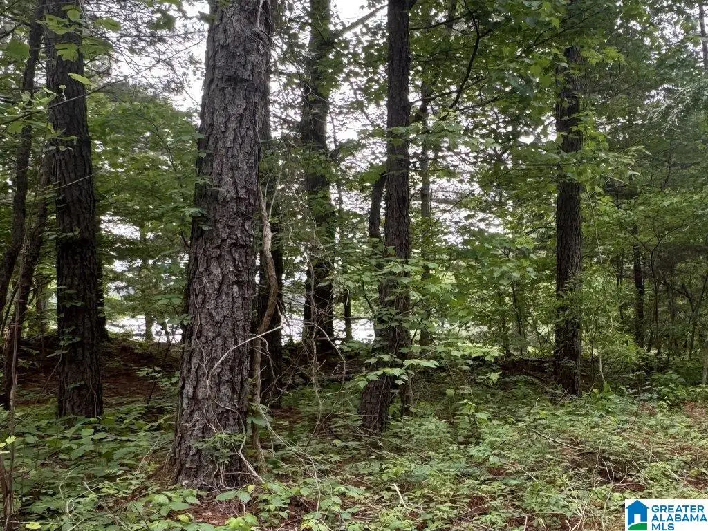 000 COUNTY ROAD 400, Shelby, AL 35143 - #1