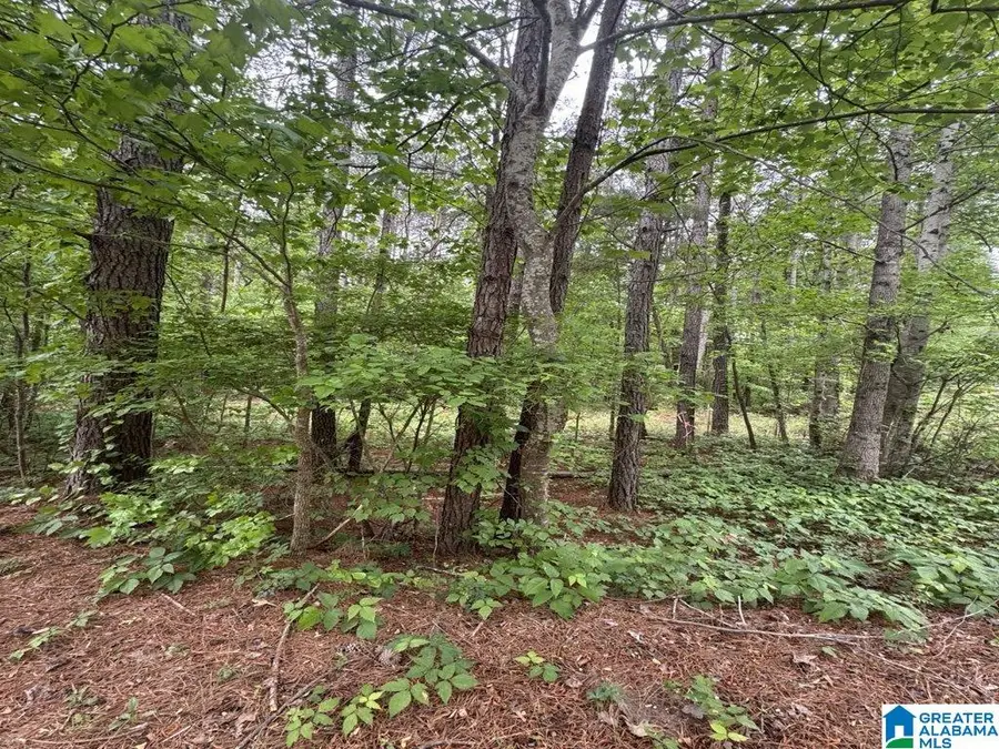 000 COUNTY ROAD 400, Shelby, AL 35143 - #2