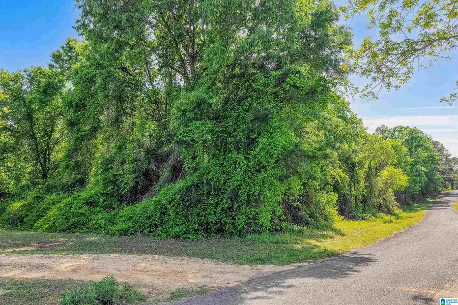 0 LOVELADY LANE, Lawley, AL 36793 - #3