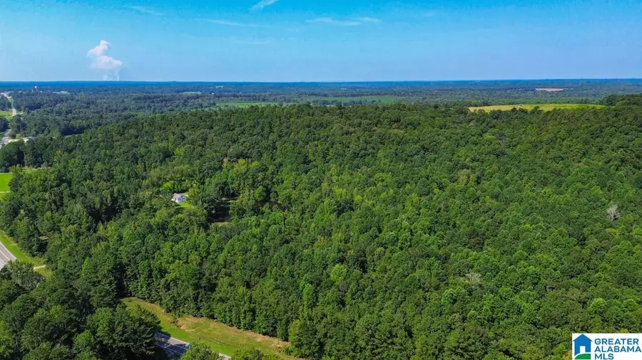 0 HIGHWAY 145, Clanton, AL 35046 - #2