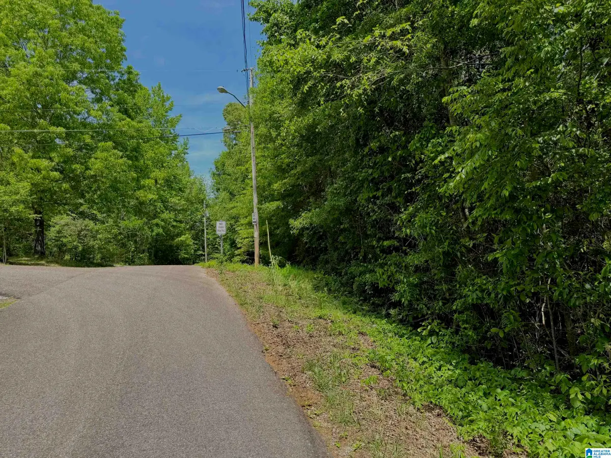 0 SHAMROCK LANE, Piedmont, AL 36272 - #1