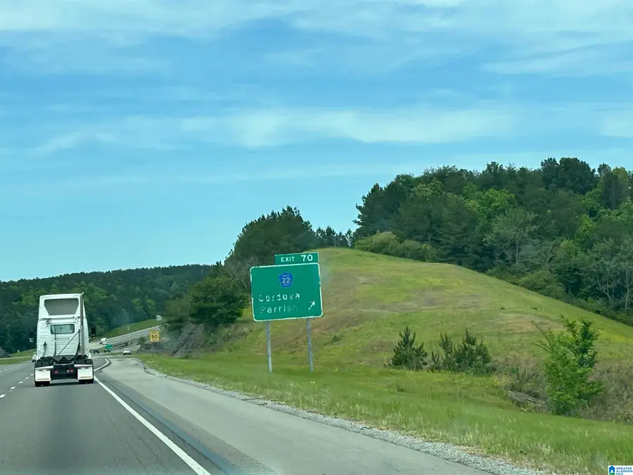 498 BLACKWOOD ROAD, Parrish, AL 35580 - #2