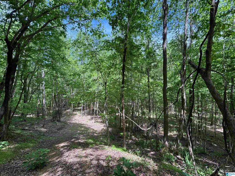 498 BLACKWOOD ROAD, Parrish, AL 35580 - #3