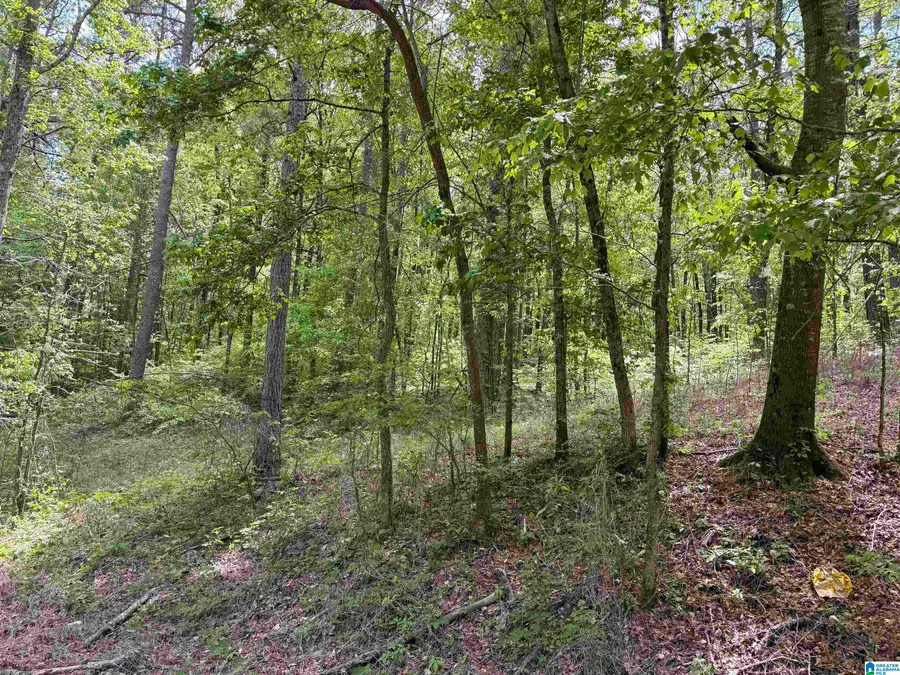 0 GOODWATER HIGHWAY, Sylacauga, AL 35150 - #3