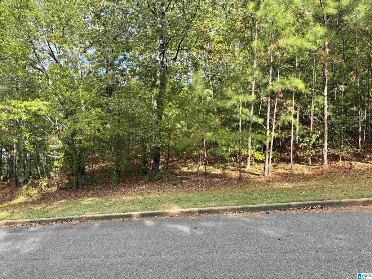 Lot 9 WHITE OAK CIRCLE, Dora, AL 35062 - #1